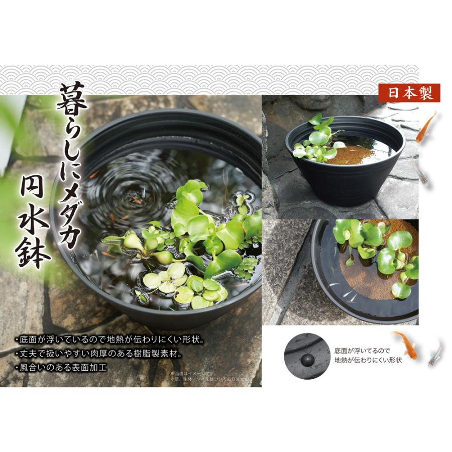 コトブキ工芸 メダカ円水鉢 黒 Φ33 地熱が伝わりにくい 丈夫 樹脂製 PP 33cm 7.5L 睡蓮鉢 | コトブキ工芸 | 02