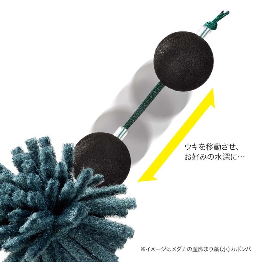 繁殖 産卵 浮かべる 増やす 繁殖 ブリード ビオトープ メダカの産卵まり藻 小 カボンバ スドー Leafs ヤフー店 通販 Yahoo ショッピング