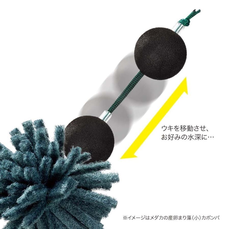 スドー 繁殖 産卵 浮かべる 増やす 繁殖 ブリード ビオトープ メダカの産卵まり藻(小) マツモ | スドー | 02