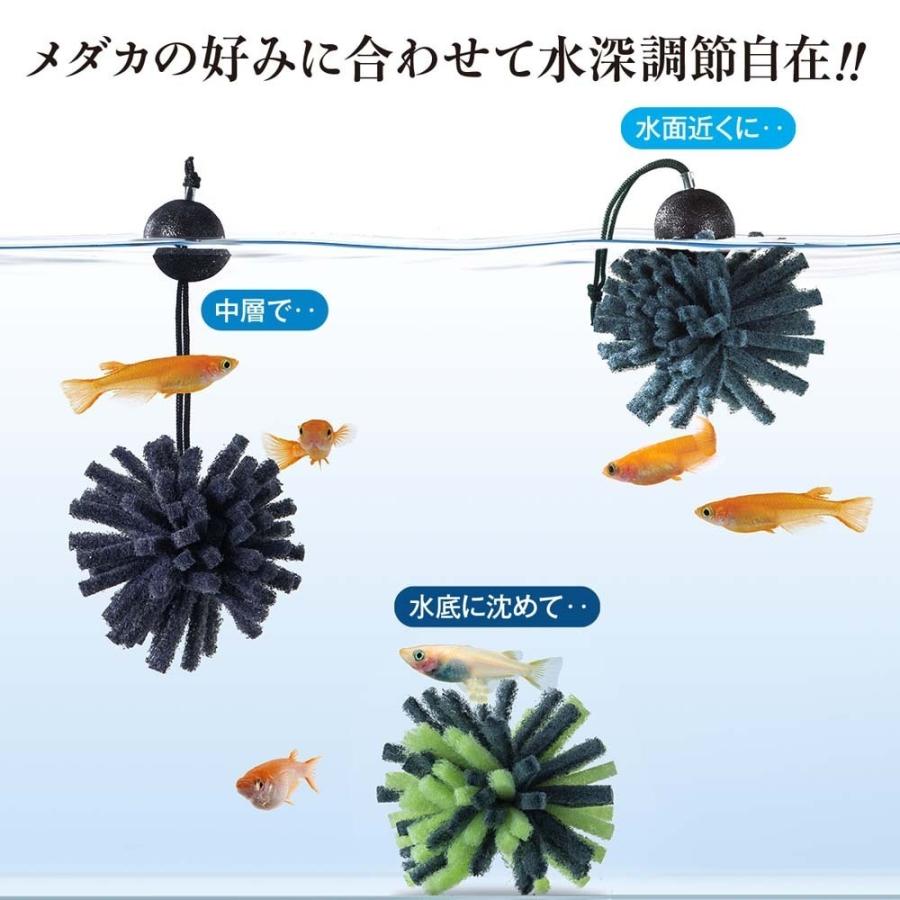 スドー 繁殖 産卵 浮かべる 増やす 繁殖 ブリード ビオトープ メダカの産卵まり藻(小) マツモ | スドー | 03