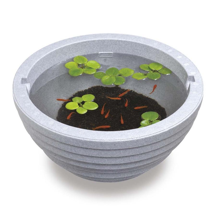 断熱効果 飼育鉢 屋外飼育 発泡スチロール ビオトープ 水鉢 メダカ飼育 メダカの発泡丸鉢 スドー Leafs ヤフー店 通販 Yahoo ショッピング