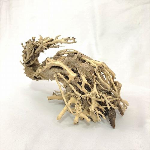 カミハタ 水景BONSAI 昇龍樹 S 盆栽 アクアリウム レイアウト カミハタ 侘び寂び | カミハタ | 01