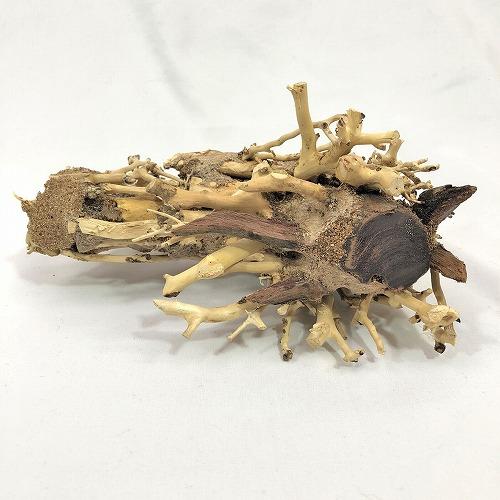 カミハタ 水景BONSAI 昇龍樹 S 盆栽 アクアリウム レイアウト カミハタ 侘び寂び | カミハタ | 03