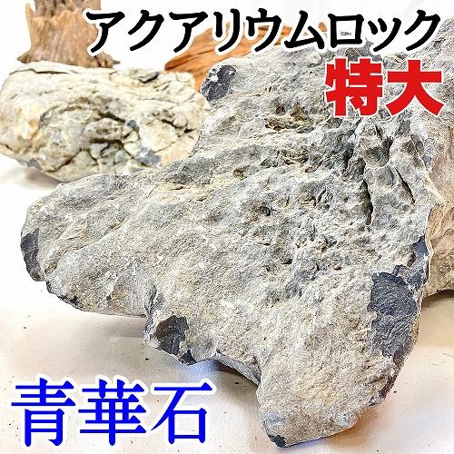 カミハタ アクアリウムロック 青華石 特大(3個入り) 形状おまかせ