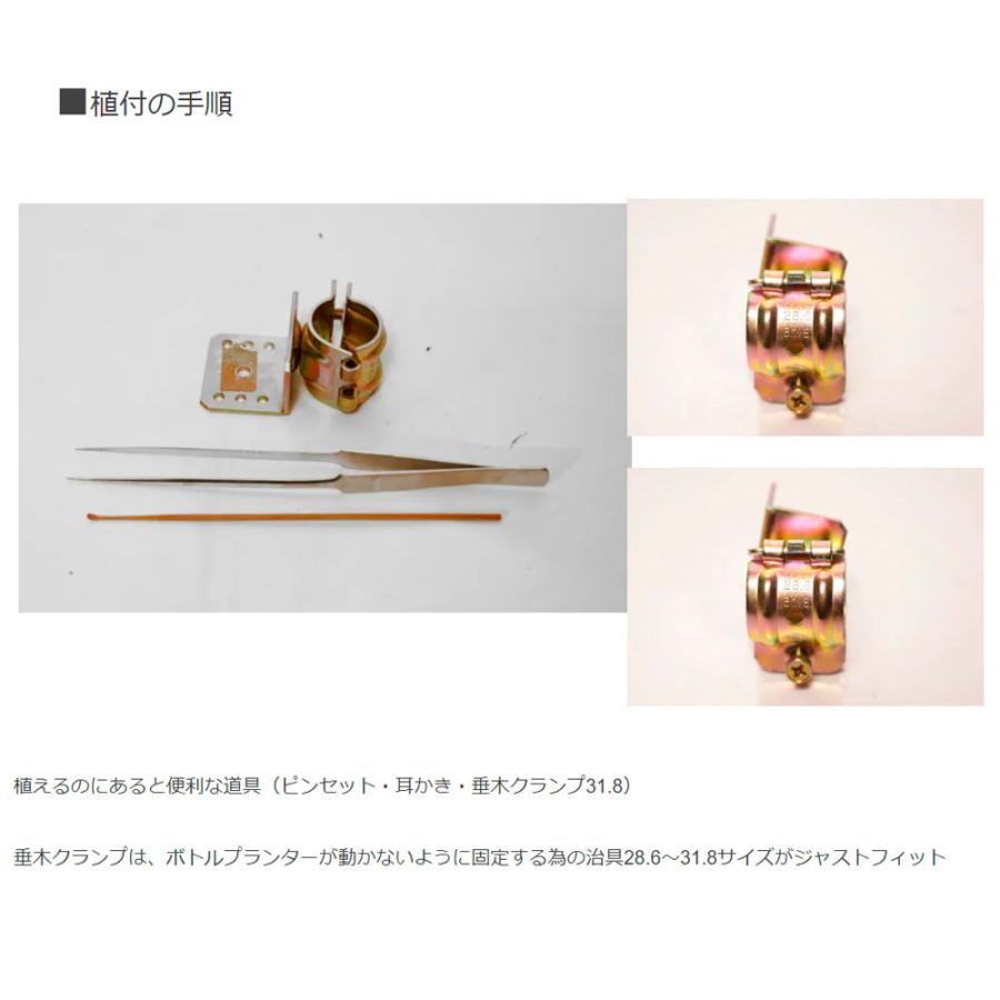 Sale 103 Off Life Fellowボトルプランター ハンギング 植物栽培 Albanblinds Com