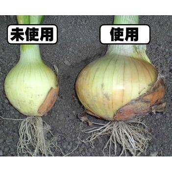 玉ねぎバエが発生しにくい 玉ねぎ ネギ にんにくの肥料 2kg 大和 Leafs ヤフー店 通販 Yahoo ショッピング