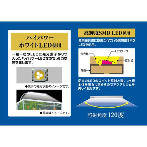 GEX クリアLED エコリオアーム パワー ホワイト アクアリウム ボトルアクア テラリウム 発光素子3つ 照明角度120度 | GEX | 04