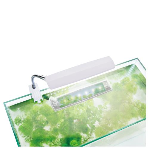 GEX クリアLED エコリオアーム パワー ホワイト アクアリウム ボトルアクア テラリウム 発光素子3つ 照明角度120度 | GEX | 06