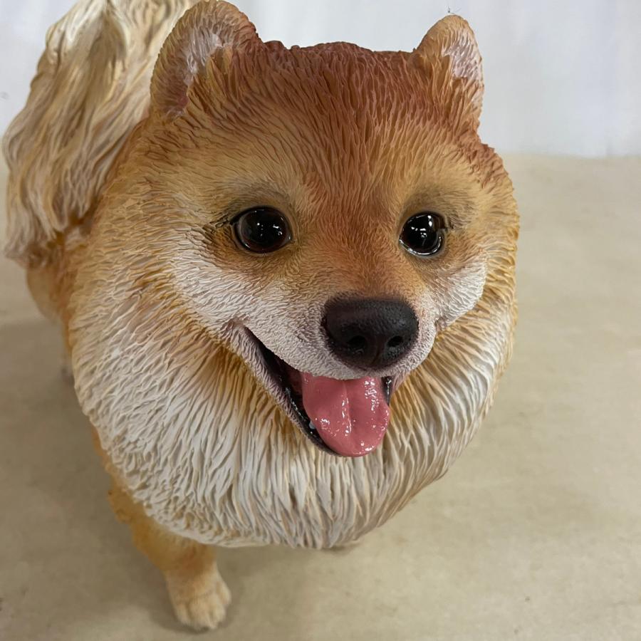 野川 14102 ポメラニアン ガーデンオーナメン ディスプレイオブジェ 園芸用品 |  | 03