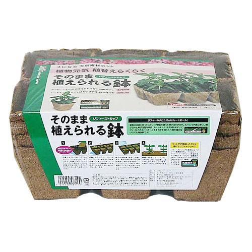 サカタのタネ ジフィーストリップ角型 8cm 4枚入 育苗 苗づくり | 