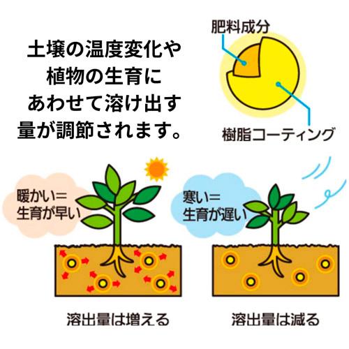 肥料　マイガーデン 植物全般用 1.2kg KINCHO園芸　元肥　追肥 元気 まくだけ 植物全般 | KINCHO園芸 | 05
