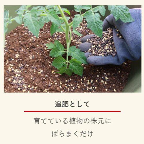 肥料　マイガーデン 植物全般用 1.2kg KINCHO園芸　元肥　追肥 元気 まくだけ 植物全般 | KINCHO園芸 | 03