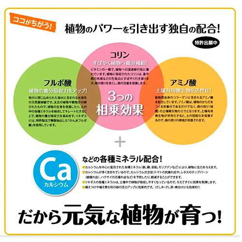 ハイポネックス リキダス エコパック 720ml　活力剤 詰め替え eco SDGs バイオスティミュラント |  | 01