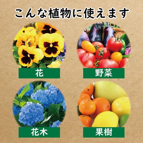 有機肥料　バットグアノ 700g 東商　バットグァノ 元肥 顆粒 固形 天然成分 自然発酵 花 実 収穫量 アップ | 東商 | 02