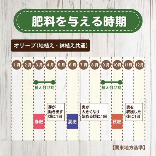 オーガニック　東商 オリーブの肥料 500g　専用肥料 元気 丈夫 実付き | 東商 | 03