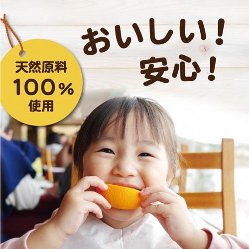 果樹　東商 レモン・ミカン・柑橘類の肥料 500g　果実 柑橘 肥料 専用 | 東商 | 01