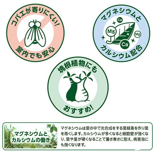 用土　花ごころ 三つ星室内観葉植物の土 10L　【4袋まで購入可】観葉植物 塊根植物 インドアプランツ 鹿沼土 |  | 01