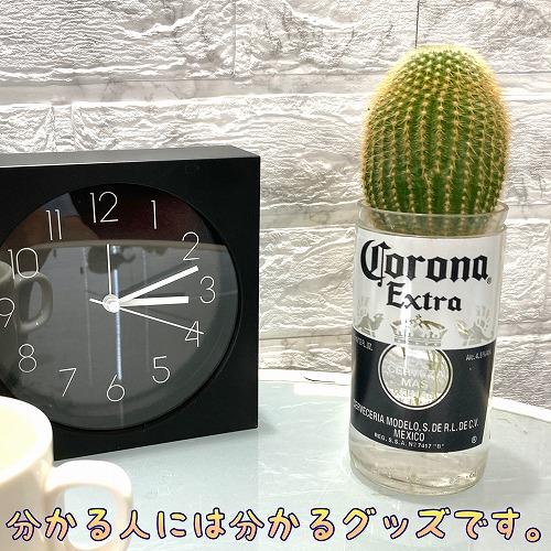 コロナビール 雑貨 グッズ アメリカン雑貨 コロナボトル  ペン 歯ブラシ 立て ガラス 水耕栽培 ポット 容器 花瓶【T's WORKS コロナバシーハ(外装箱なし)】 |  | 10