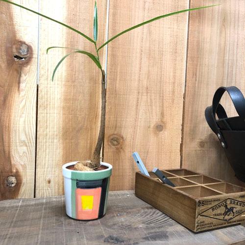 鉢　マリソル 10G 71064　ポット 鉢カバー ポットカバー 観葉植物 |  | 02