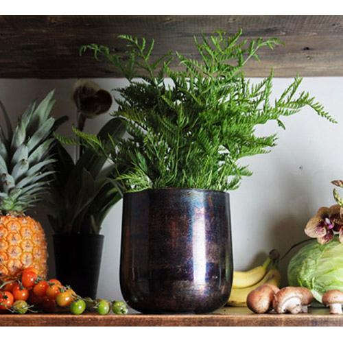 鉢カバー　AM5ベースBK H19 3U00055BK　ポットカバー オシャレ カッコイイ インテリア |  | 01