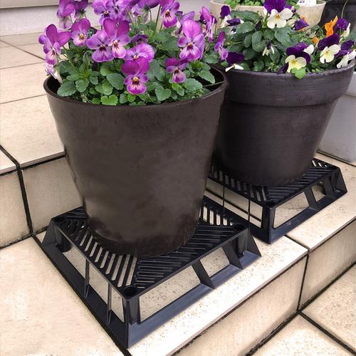 ブラックベース 20cm　カーメン君コラボ商品　第一ビニール 通気性 排水性 根腐れ防止 支柱 |  | 07