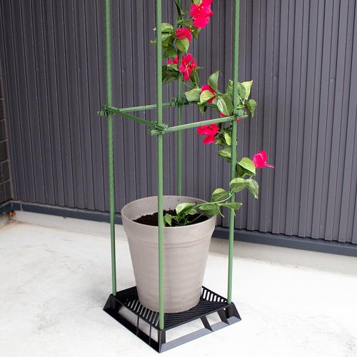 ブラックベース 20cm　カーメン君コラボ商品　第一ビニール 通気性 排水性 根腐れ防止 支柱 |  | 08