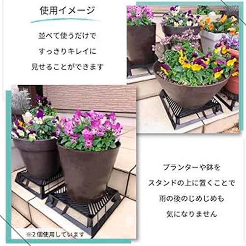 ブラックベース 20cm　カーメン君コラボ商品　第一ビニール 通気性 排水性 根腐れ防止 支柱 |  | 02