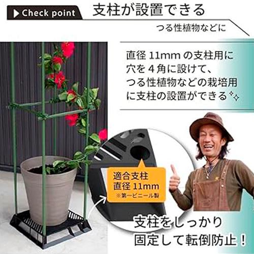 ブラックベース 24cm　カーメン君コラボ商品　第一ビニール 通気性 排水性 根腐れ防止 支柱 |  | 03