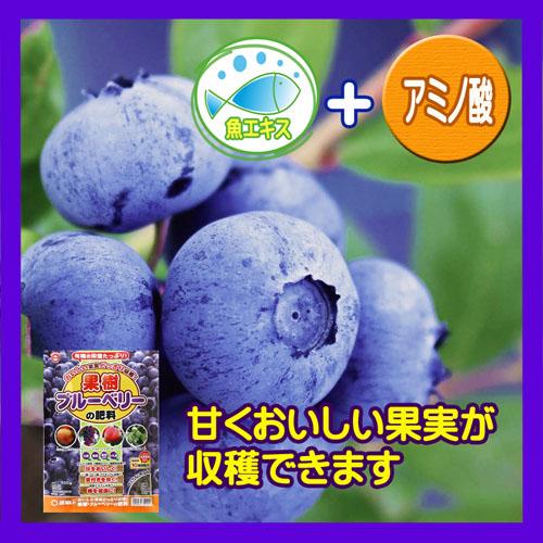 ブルーベリー　東商 ブルーベリーの肥料 500g　肥料 専用 実つき 美味しい | 東商