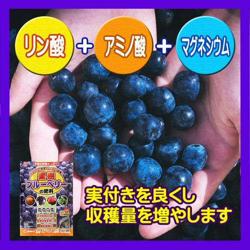ブルーベリー　東商 ブルーベリーの肥料 500g　肥料 専用 実つき 美味しい | 東商 | 01