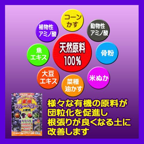 ブルーベリー　東商 ブルーベリーの肥料 500g　肥料 専用 実つき 美味しい | 東商 | 02
