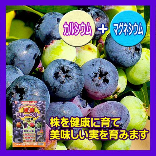 ブルーベリー　東商 ブルーベリーの肥料 500g　肥料 専用 実つき 美味しい | 東商 | 03