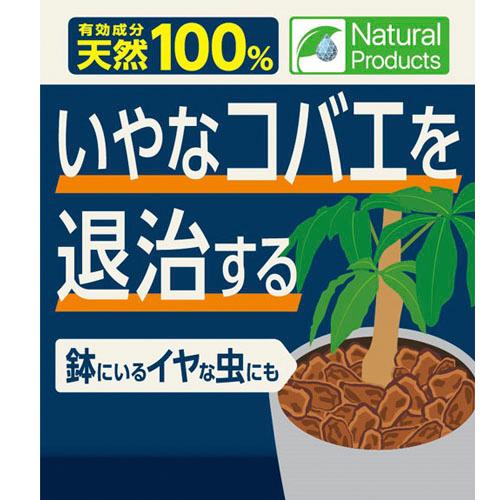 コバエ　住友 MY PLANTS コバエを退治するミスト 250ml　コバエ退治 不快害虫 観葉植物 ミスト マイプランツ |  | 03