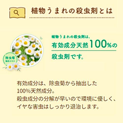 殺虫剤　住友 植物うまれの殺虫剤 220ml　天然成分 除虫菊 ペット 子供 |  | 01