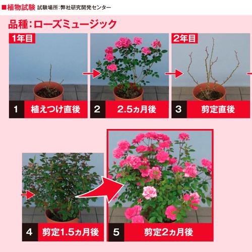 肥料　ハイポブリリアントガーデン バラのまくだけ肥料 1.2kg　バラ まくだけ 元肥　追肥 元気　丈夫 |  | 02