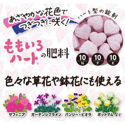 ハイポネックス　ハイポネックス ももいろハートの肥料 120g　肥料 ハート型 パンジー 肥料効果1カ月 |  | 01