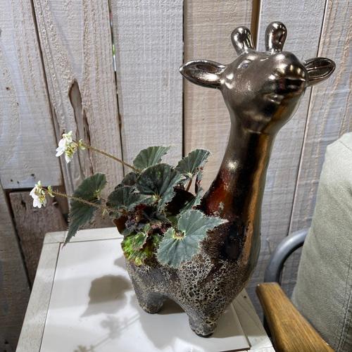 鉢　丸滉 GF-4762 BZ ジラフポット　プランター 可愛い　カワイイ オシャレ 観葉植物 | 