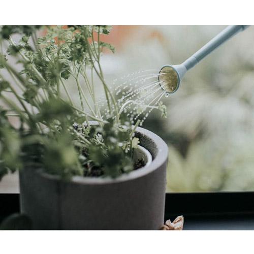 イギリス　HAWS 150/1RCL ハンディーインドアカン(リサイクル) 0.7L ブラック　ホーズ ジョウロ 水やり ブランド |  | 08