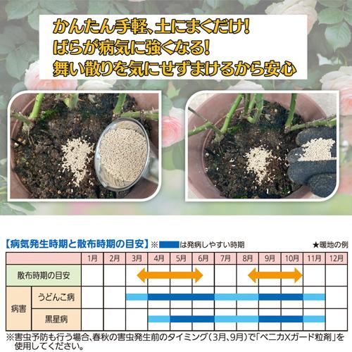バラ　住友化学園芸 ベニカBT殺菌粒剤(マイローズ) 500g　殺菌剤 オーガニック栽培に使用可能 マイガーデン 病気 |  | 02