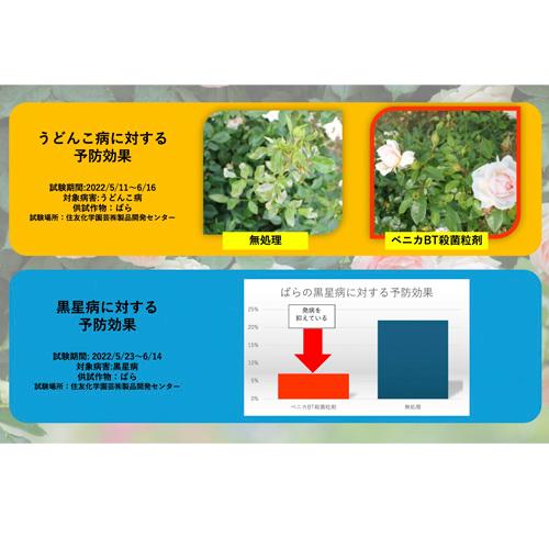バラ　住友化学園芸 ベニカBT殺菌粒剤(マイローズ) 500g　殺菌剤 オーガニック栽培に使用可能 マイガーデン 病気 |  | 03