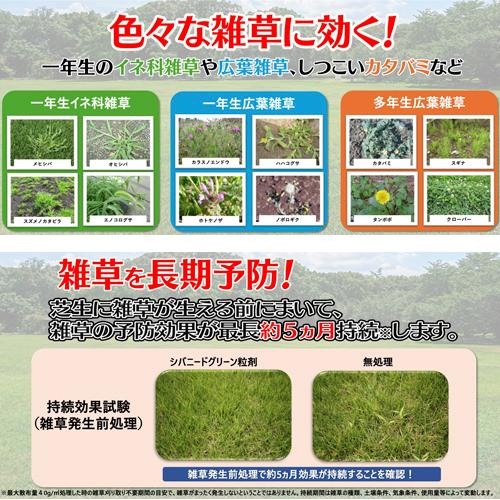 除草剤 住友化学園芸 マイターフ シバニードグリーン粒剤 1.4kg 肥料