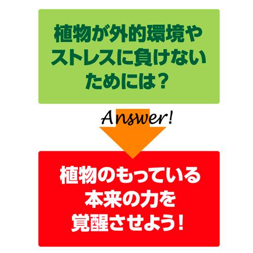 エックスエナジー X-ENERGY 600ml　住友化学園芸 活力液 植物覚醒 バイオスティミュラント 2025新商品 |  | 03