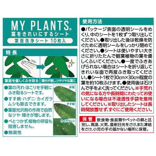 観葉植物　住友化学園芸 MY PLANTS(マイプランツ) 葉をきれいにするシート(台紙) 10枚　汚れ ほこり 虫 拭く |  | 01