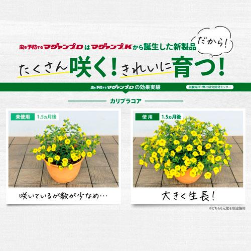 ハイポネックス マグァンプD 500g  殺虫剤入り肥料 害虫予防 いやなにおいが少ない ジノテフラン配合 虫を予防する | ハイポネックス | 02