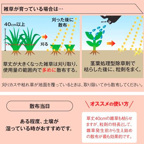 除草剤　ネコソギブロックV粒剤 350g レインボー　雑草 まくだけ 簡単　 効果的 |  | 01