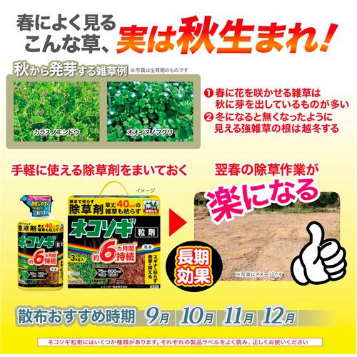 除草剤　レインボー ネコソギブロックV粒剤 800g　雑草 枯らす スギナ 長期間 |  | 02
