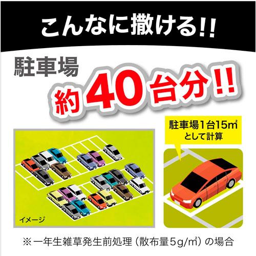 除草剤　レインボー ネコソギブロックV粒剤 800g　雑草 枯らす スギナ 長期間 |  | 04