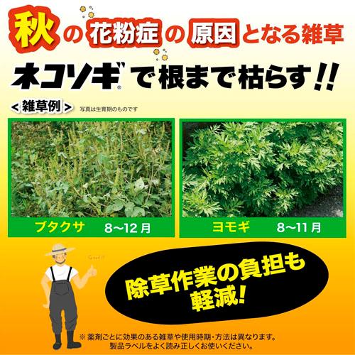 除草剤　レインボー ネコソギブロックV粒剤 3Kg　雑草 枯らす スギナ 長期間 |  | 03