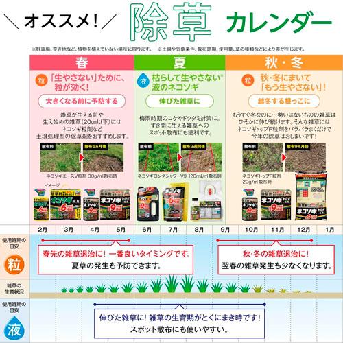 除草剤　レインボー ネコソギブロックV粒剤 3Kg　雑草 枯らす スギナ 長期間 |  | 06