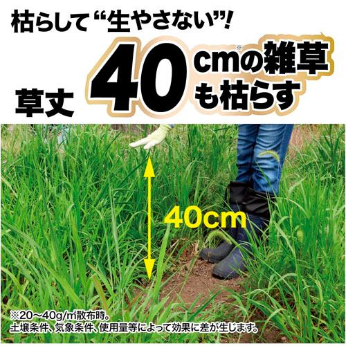 除草剤 レインボー ネコソギブロックV粒剤 3Kg 雑草 枯らす スギナ 長